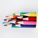 Mumuso Colored Pencil Set (12 Colors) Mumuso Colored Pencil Set With Container - 12 Colors