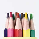 Mumuso Colored Pencil Set (12 Colors) Mumuso Colored Pencil Set With Container - 12 Colors